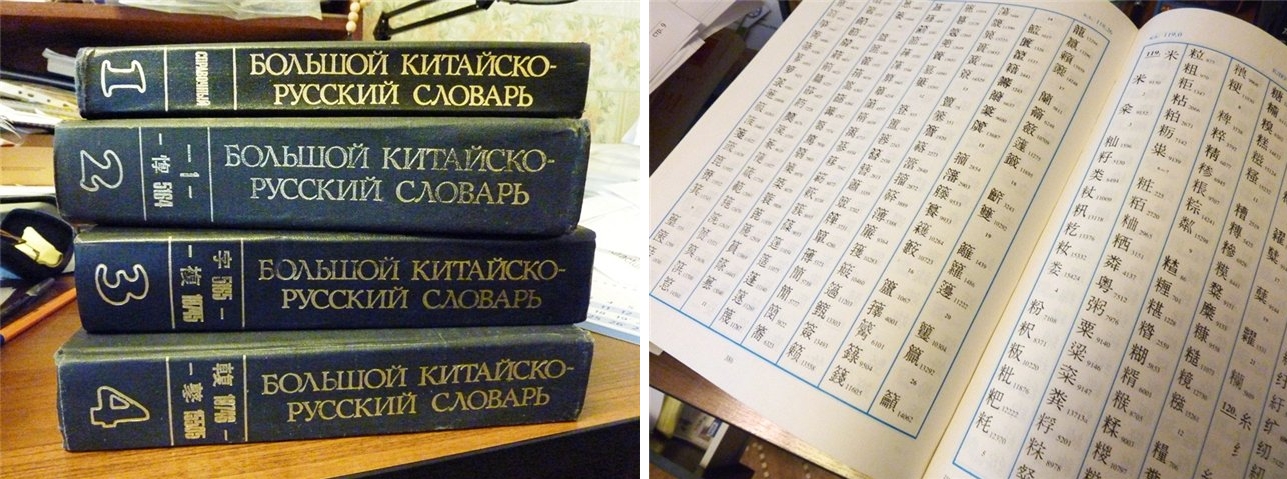 Огромный бумажный словарь Ошанина